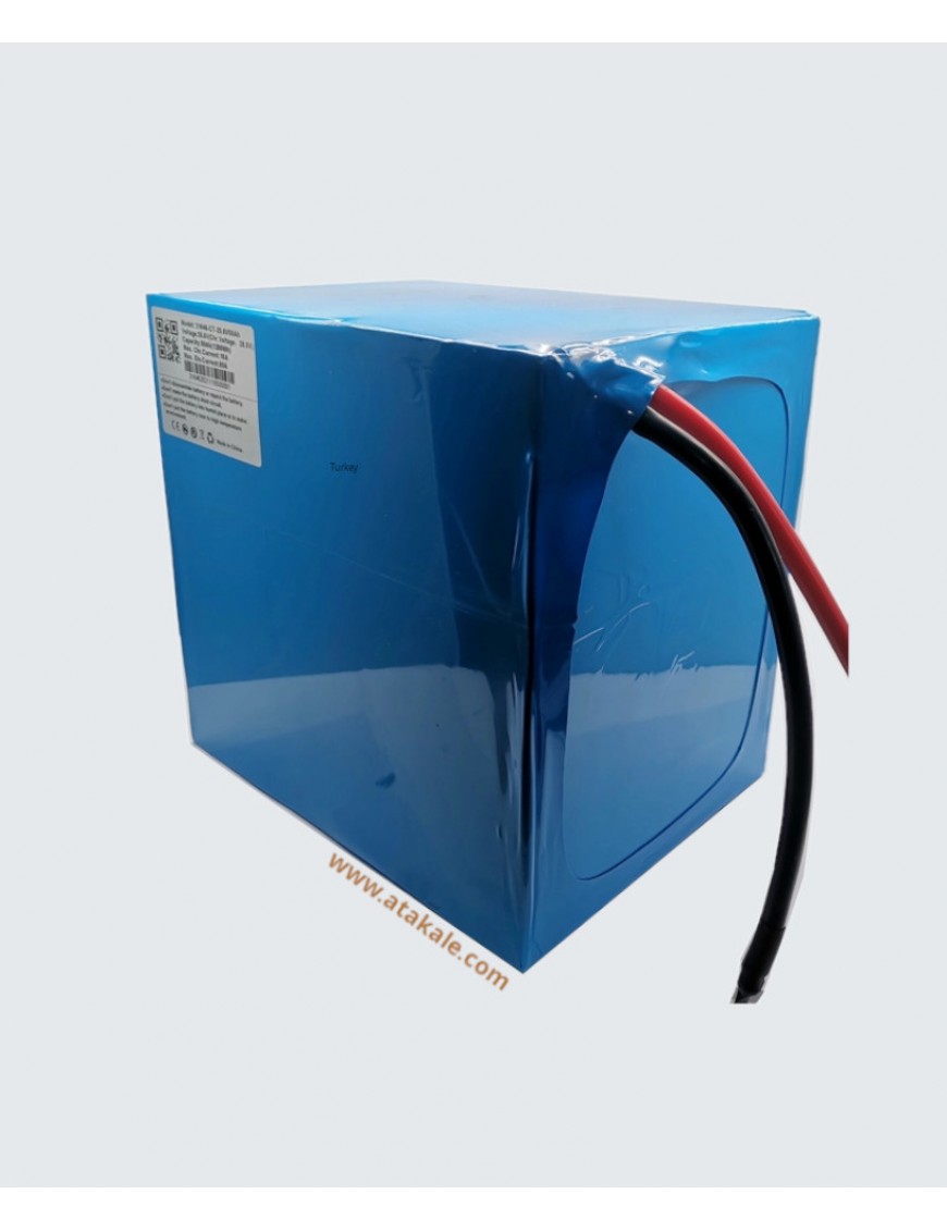 51.2V 24AH LifePo4 Akü Paketi Özel dizayn Shrink 48Volt lityum akü