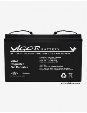 Vigor 12Volt 100AH Deep Cycle AGM Battery Nano Carbon Huawei Outdo Manufacturer
