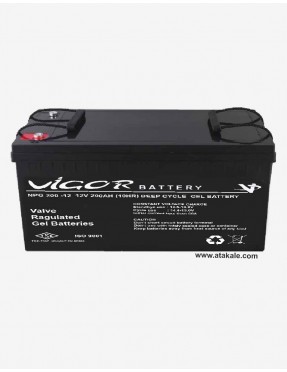 Vigor 12Volt 200AH Solar Jel Akü Nano Karbon  Derin Deşarj 10 Sene Ömürlü Huawei Outdo