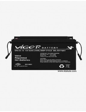 Vigor 12Volt 65AH Deep Cycle AGM Gel Battery Nano Carbon  Huawei Outdo Manufacturer