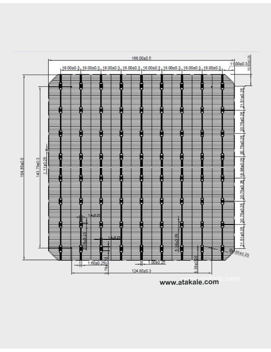 9BB Half Cut Bifacial Solar Hücre 6,39Wat %23,3 Verim 166mmX166mm