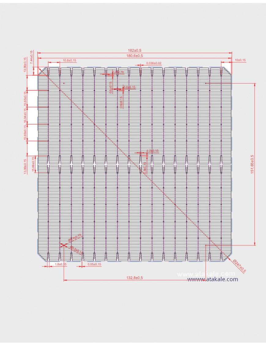Solar Space16BB Half Cut Bifacial Solar Hücre 8,12 Wat %24,60 Verim Front Bus 1.4mm 182mmX182mm