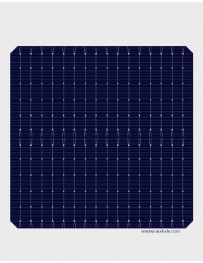 Tongwei 16BB Topcon Half Cut Bifacial Solar Cell 7,155Wat %24,7 Efficency N Type 182mmX182mm